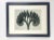 1920s Framed Antique Botanical Blossfeldt Print - No. 89 For Sale - Image 5 of 5