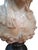19th-Century Italian Alabaster Bust, Likely of the “Song of Solomon’s” Shulamite For Sale - Image 11 of 17