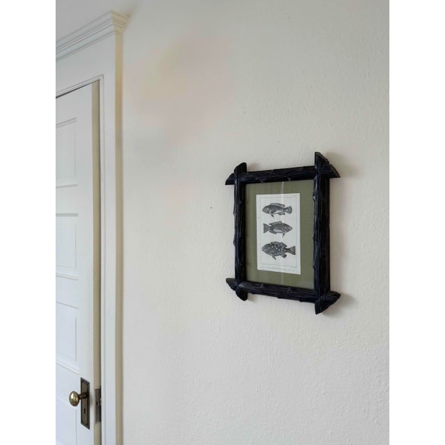 Wood Early 19th Century Black Forest Framed C. Motte Fish Engraving, on Grasscloth For Sale - Image 7 of 8