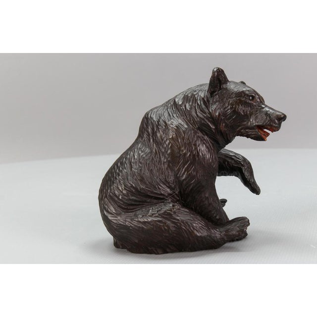 Antique Black Forest Carved Seated Bear Figure, 1890s For Sale - Image 5 of 18