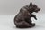 Antique Black Forest Carved Seated Bear Figure, 1890s For Sale - Image 5 of 18