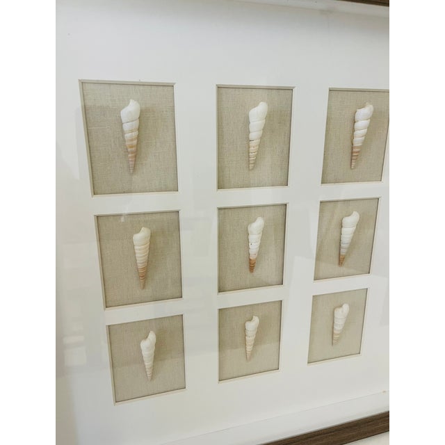 Boho Chic Pair of Boho Coastal Seashell Shadow Box Wall Art For Sale - Image 3 of 4