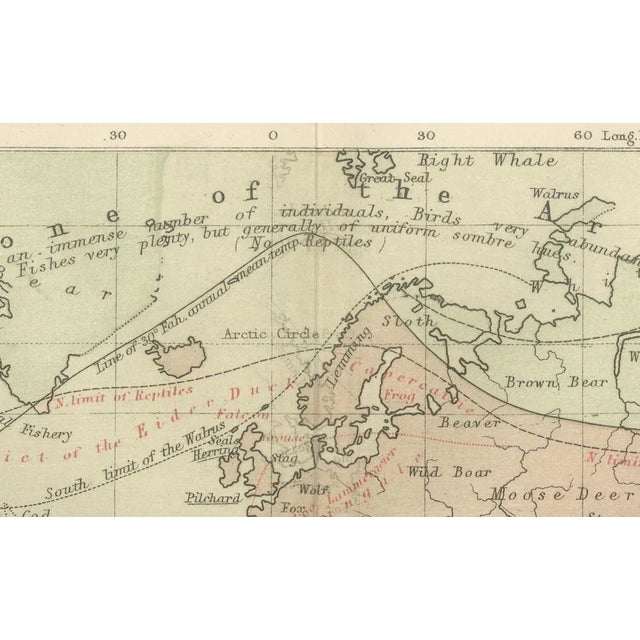 This beautifully engraved chart titled "The Distribution of Animals Including the Mammalia, Birds, Reptiles & Fishes;...