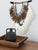 Velvet and Aurum For Sale - Image 10 of 11