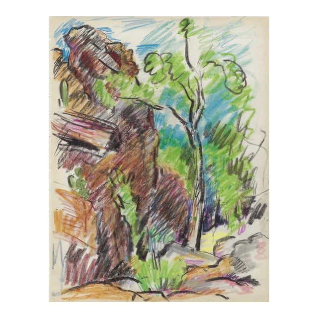 1940s Grace Spongberg Sabino Canyon Arizona Drawing For Sale