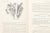 The Thousand Recipe Chinese Cookbook by Gloria Bley Miller 1977 For Sale - Image 4 of 6
