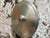 Italian 1990s Match Italian Pewter Oval Lidded Trinket Boxes, Set of 2 For Sale - Image 3 of 3