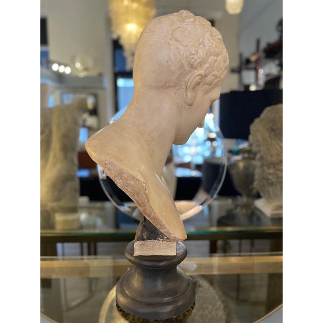 Unknwon, Plaster Bust of the God Hermes, 1900, Gesso For Sale - Image 18 of 18