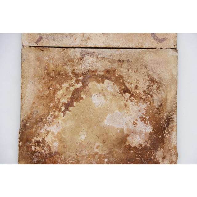 19th Century Set of Two Tiles Depicting Branches of Trees, Portuguese Baroque For Sale - Image 11 of 13