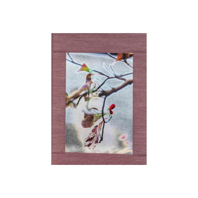 Kensho 2351, 2019 For Sale - Image 3 of 6