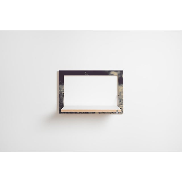 The midsized fläpps wall shelf adheres to standards. Kept in 3:2 format, it meets the critical eye of photographers. With...