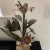 Antique French Tole Flowers in Pottery Urns- Pair For Sale - Image 4 of 9