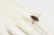Antique Victorian 14k Gold Garnet and Seed Pearl Navette Ring, Size 5 For Sale - Image 12 of 12