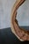 Rustic Rustic Teak Wood Table Lamp, Vintage Circular Design For Sale - Image 3 of 12