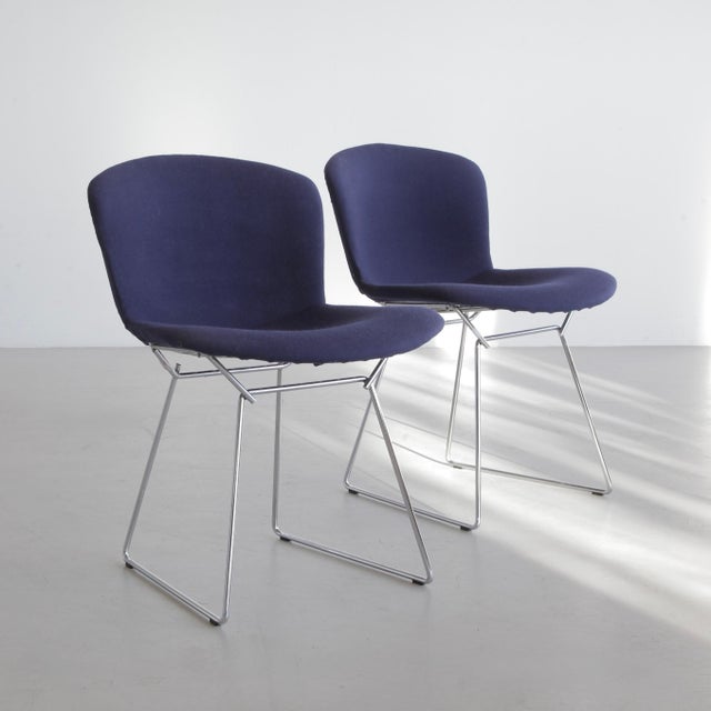 Blue Vintage Chairs by Harry Bertoia for Knoll International, 1950s, Set of 2 For Sale - Image 8 of 8