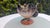 Glass Art Deco Glass Cake Stand from United Glassware STS Abel, 1930s For Sale - Image 7 of 8