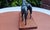 1970s Vintage Figurine of Two Horses, 1960s For Sale - Image 5 of 7