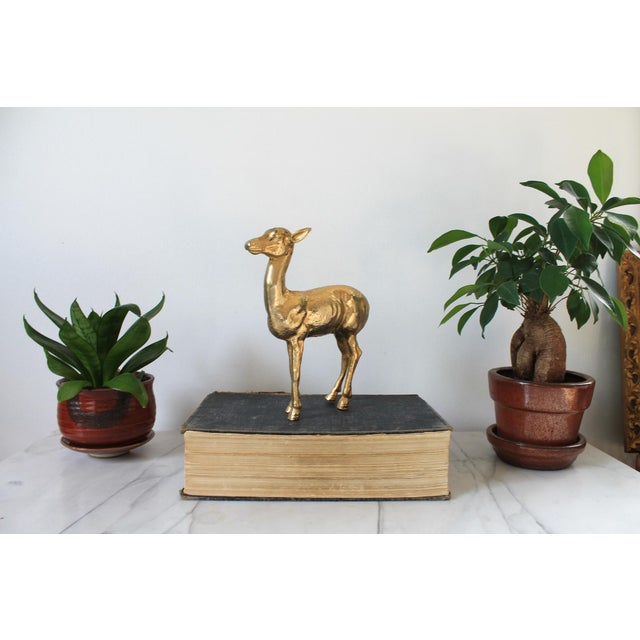Vintage animal figurine. Made in Italy. Some age wear. Weights, 2lbs 8oz.