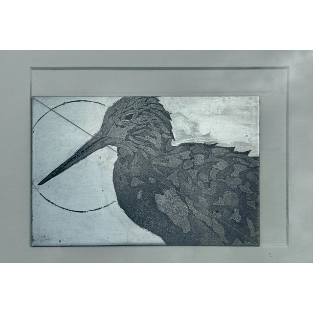 Beautiful limited edition etching by Margaret Albritton, titled Willet. This work features a detailed study of the...