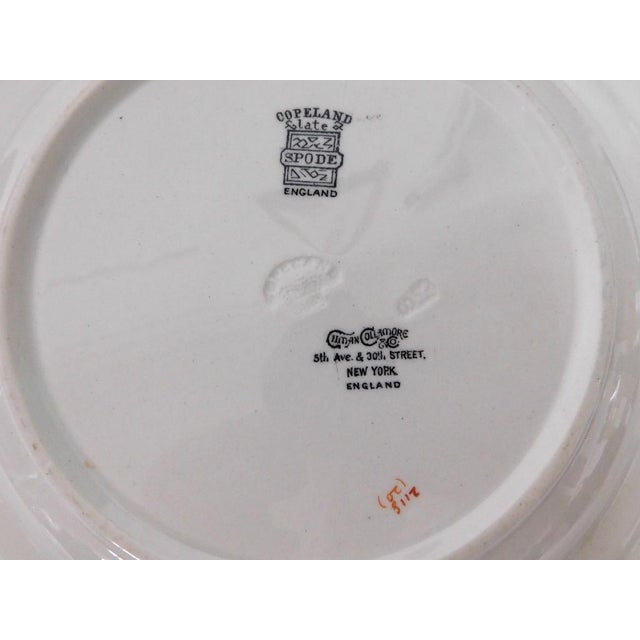 Rare Antique Copeland Spode "Peacock" Pattern 10.5" Bowl – Gilman Collamore & Co. Retailer Mark This exquisite 10.5-inch...