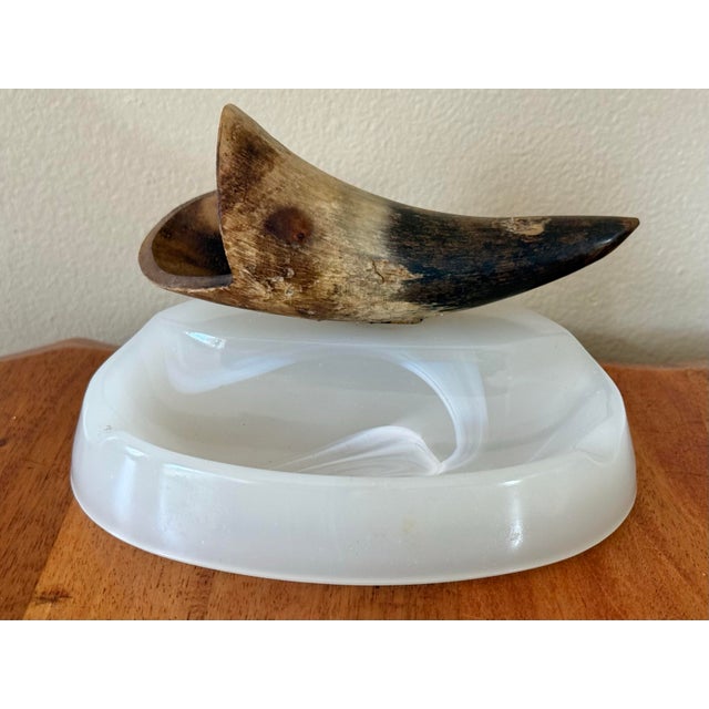Natural Bull Horn Cigerette Ashtray For Sale - Image 6 of 6