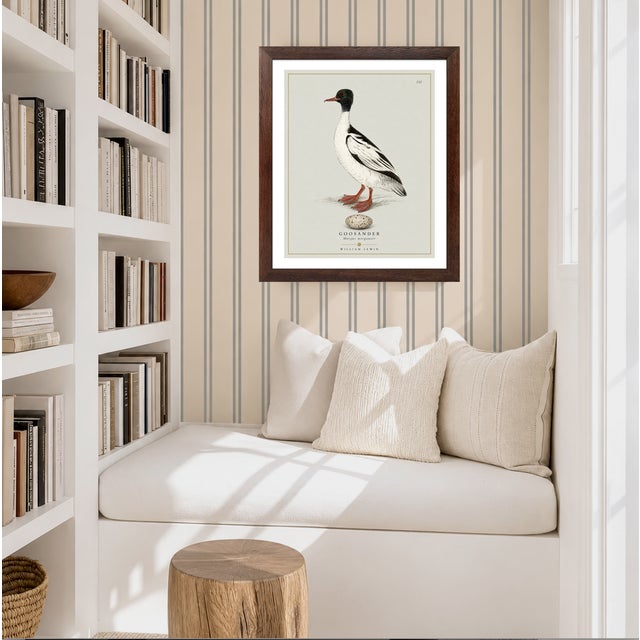 Paper William Lewin 1789 Waterbirds Fine Art Gallery Board Print - The Goosander For Sale - Image 7 of 11