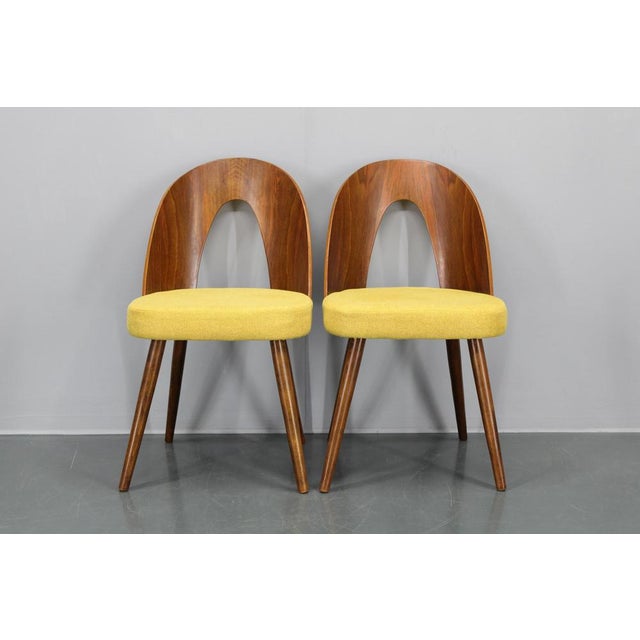 Vintage Dining Chairs in Walnut by Antonin Suman, 1960s, Set of 4 For Sale - Image 10 of 17