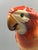Ceramic Large Mid-Century Hand-Painted Porcelain Figurine of Parrot / Macaw (Model 5000) by Béla Kelemen for Herend For Sale - Image 7 of 13