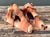 Vintage Natural Form Ceramic Bookends For Sale - Image 16 of 18