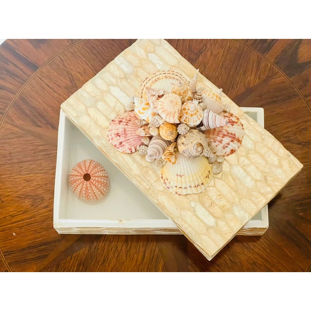 1970s Mid 20 Th C Sea Shells Shell Encrusted Box For Sale - Image 5 of 7