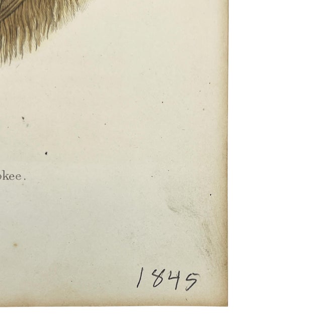 Mid 19th Century Antique Hand-Colored Engraving Tuch-Ee Cherokee Chief After Catlin C 1845 For Sale - Image 5 of 10