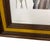 Late 20th Century Vintage Red Bellied Woodpecker Framed Print For Sale - Image 5 of 6