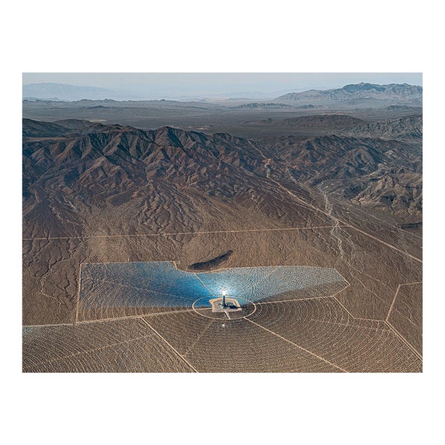 "AV_Solar_Plants_016" Contemporary Limited Edition Fine Art Photograph by Bernhard Lang For Sale