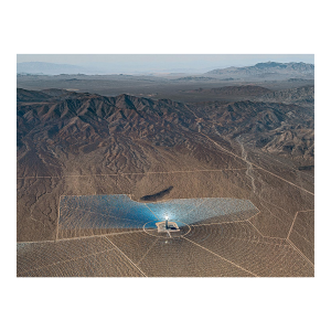 "AV_Solar_Plants_016" Contemporary Limited Edition Fine Art Photograph by Bernhard Lang
