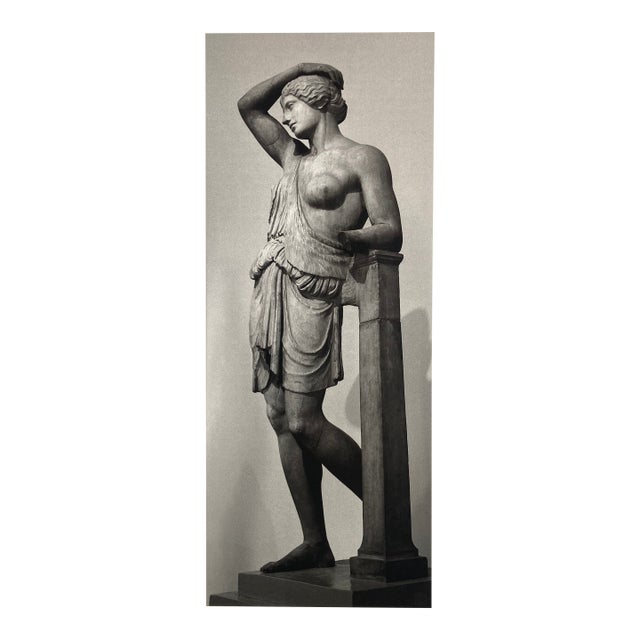 William Gray Harris Photograph on Canvas “Wounded Amazon” For Sale