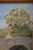 Suzanne Dechamps, Stone Bridge, France, 1920s, Oil on Panel For Sale - Image 4 of 11