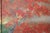 "Autumn Leaves" by Kakaaki Ito (After), Late Showa Japanese Byobu Screen For Sale - Image 10 of 17