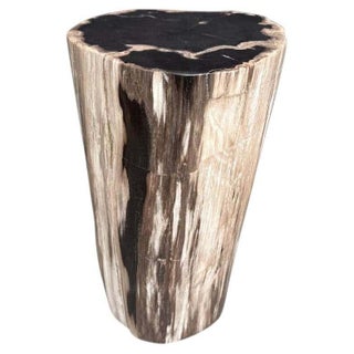 Andrianna Shamaris Modern Organic High Quality Petrified Wood Side Table For Sale