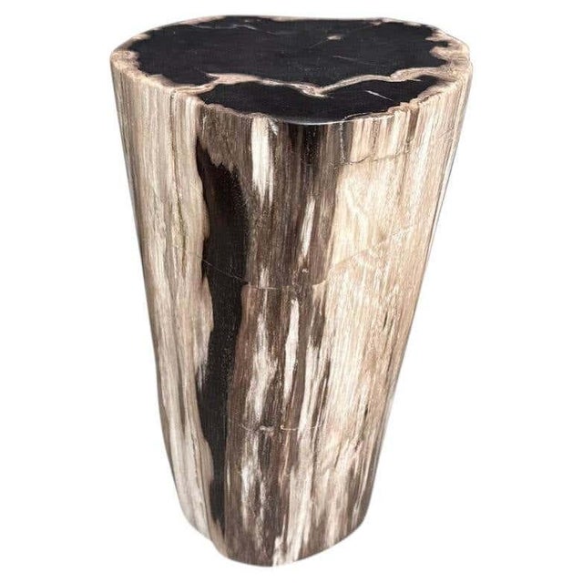 Andrianna Shamaris Modern Organic High Quality Petrified Wood Side Table For Sale