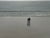 Trinidad Ball British Contemporary Coastal Landscape Oil Painting, Together, 2012 For Sale - Image 12 of 18