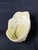 1940s Vintage Belleek White Shell Open Salt Dip - Yellow Inside - 3-1/8" Long - 4th Green Mark -1946 - 1955 For Sale - Image 5 of 11