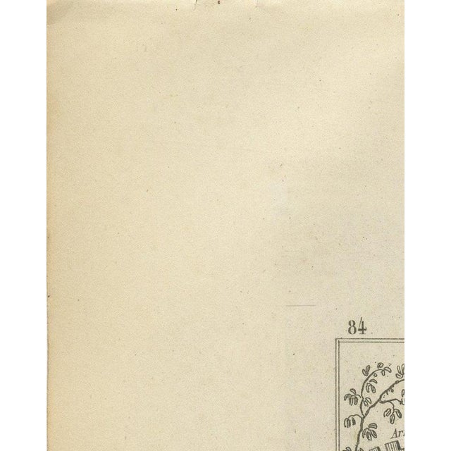 Paper Antique Map of the Haute-Vienne, Limoges and Marshal Jourdan, 1860 For Sale - Image 7 of 12
