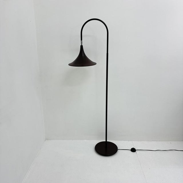Minimalist Dutch Hala Zeist Trumpet Brown Floor Lamp, 1970s For Sale - Image 15 of 18