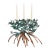 Triple Mangrove Candelabra For Sale