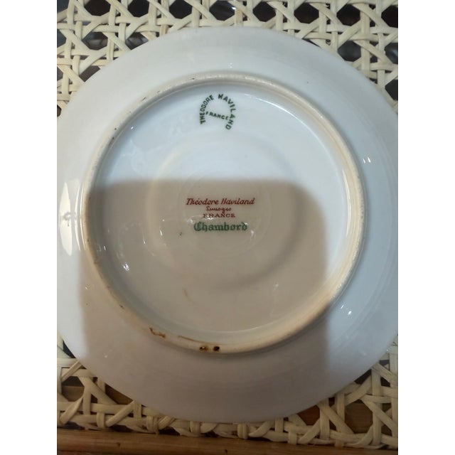 Haviland & Co. Late 19th Century Haviland Limoge Pocelain Teacup and Saucer in Paradise For Sale - Image 4 of 4