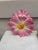Late 19th Century Large Majolica Pink Daisy Wall Pocket Delphin Massier, Circa 1890 For Sale - Image 5 of 6