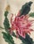 The flower, perhaps a slightly fantastical rendition of a peony, entrances the viewer. The imbalance of the work seems...