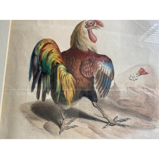 Traditional French Colored Engraving From "La Caricature" Depicting a Rooster For Sale - Image 3 of 8