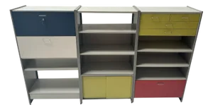 Mid-Century Modern Multi-Colored 5600 Modular Wall Unit by Cordemeyer for Gispen, 1950s