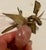 Asian Rose Quartz Carved Plum Fruit Hard Stone Leaves For Sale - Image 6 of 10